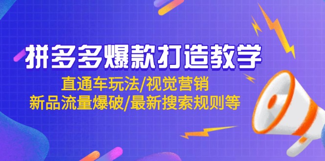 （14681期）拼多多爆款打造教学：直通车玩法/视觉营销/新品流量爆破/最新搜索规则等-小白网创