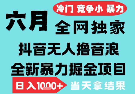 2025年6月高爆抖音无人直播最新撸音浪掘金项目，无脑日入1k+，低门槛小白可做，可矩阵放大【揭秘】-小白网创