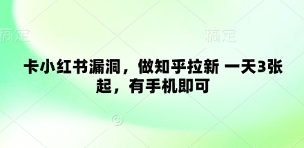 卡小红书漏洞，做知乎拉新 一天3张起，有手机即可-小白网创
