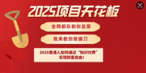 2025项目天花板普通人如何通过知识付费，实现财F自由【揭秘】-小白网创