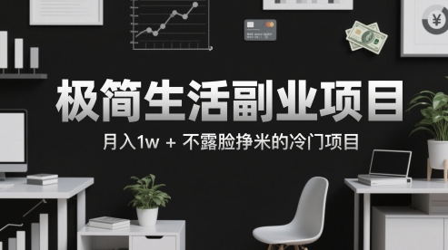 极简生活副业项目，月入1w+不露脸挣米的冷门项目-小白网创