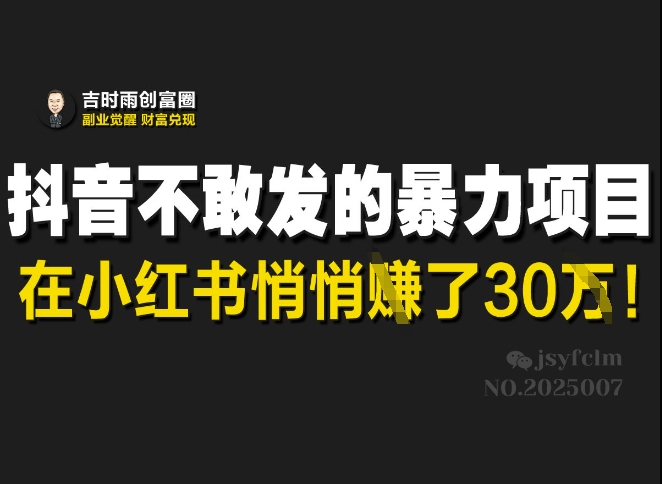 抖音不敢发的暴利项目，在小红书悄悄挣了30W-小白网创