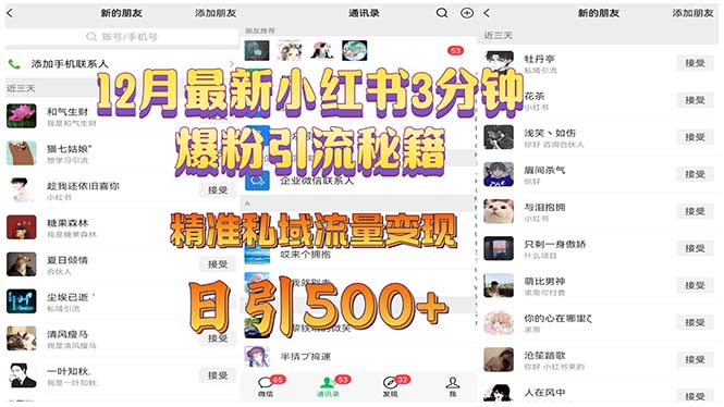 （13653期）12月最新小红书3分钟爆粉引流秘籍 精准私域流量变现 日引500+-小白网创