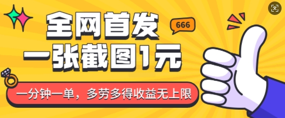 全网首发，一张截图1块钱，一分钟一单，多劳多得，收益无上限-小白网创