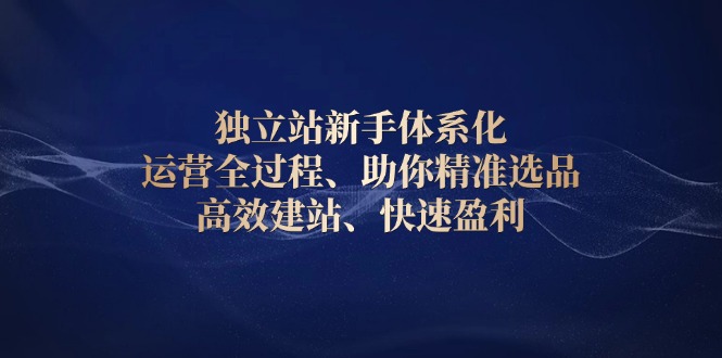 （13914期）独立站新手体系化 运营全过程，助你精准选品、高效建站、快速盈利-小白网创