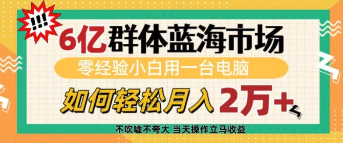 6亿群体蓝海市场，零经验小白用一台电脑，如何轻松月入过w【揭秘】-小白网创