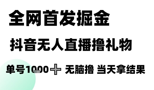 全网首发掘金抖音无人直播撸礼物，单号1k +无脑撸，当天拿结果【揭秘】-小白网创