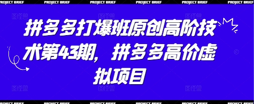 拼多多打爆班原创高阶技术第43期，拼多多高价虚拟项目-小白网创