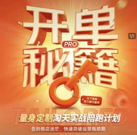 淘宝开单秘籍PRO，量身定制淘天实战陪跑计划，告别做店迷茫、快速突破运营瓶颈期-小白网创