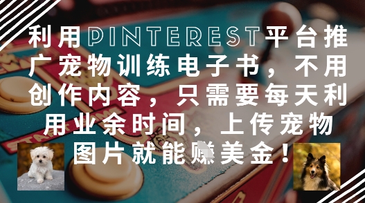 利用Pinterest平台推广宠物训练电子书，不用创作内容，只需要每天利用业余时间，上传宠物图片就能挣美金!-小白网创