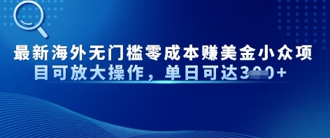 最新海外无门槛美金小众项目可放大操作，单日可达3张-小白网创