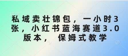 私域卖壮锦包，一小时3张，小红书蓝海赛道3.0版本， 保姆式教学-小白网创