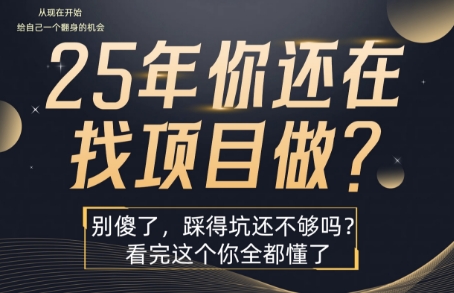 25年，你还在疯狂的找项目吗？别傻了，看完这个你都懂了【揭秘】-小白网创