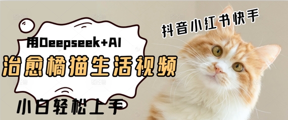 疯狂火爆，用Deepseek+AI做治愈橘猫系列视频，小白轻松制作+快速拿到结果-小白网创