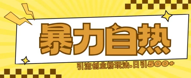 最新暴力自热引流玩法日引500+创业粉-小白网创
