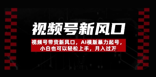 视频号带货新风口，AI模版暴力起号，小白也可以轻松上手，月入过W-小白网创