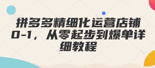 拼多多精细化运营店铺0-1，从零起步到爆单详细教程-小白网创