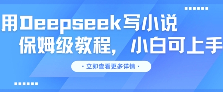 用Deepseek写小说，保姆级教程，小白可实操-小白网创
