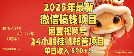 2025年最新微信搞钱项目，闲置视频号年24小时挂G托管项目，单日收入多张-小白网创