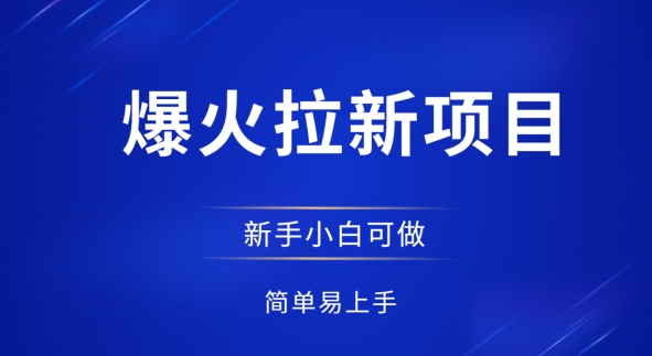爆火拉新项目，有手就行，小白轻松入门，日入1张拉新整套流程-小白网创