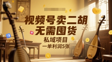 视频号卖二胡，无需囤货，私域项目，一单利润5张-小白网创