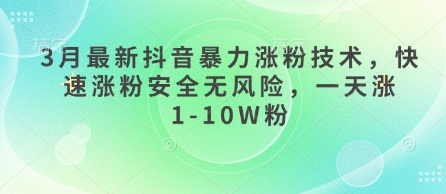 3月最新抖音暴力涨粉技术，快速涨粉安全无风险，一天涨1-10W粉-小白网创