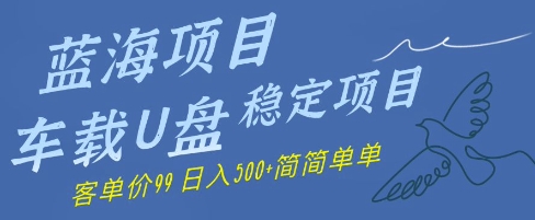 蓝海项目车载U盘稳定项目，挣的就是信息差，客单价99，日入几张简简单单-小白网创