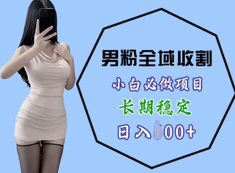 男粉项目全域收割，小白必做项目，长期稳定，稳定日入几张-小白网创