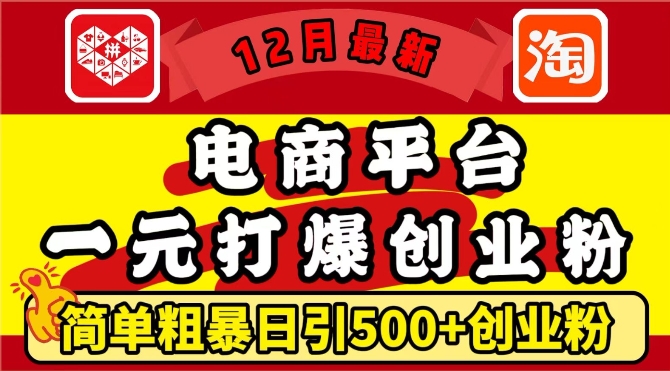 12月最新：电商平台1元打爆创业粉，简单粗暴日引500+精准创业粉，轻松月入过W【揭秘】-小白网创