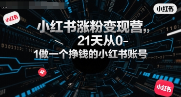 小红书涨粉变现营，21天从0-1做一个挣钱的小红书账号-小白网创