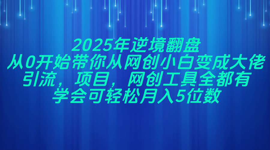 （14473期）2025年逆境翻盘，从0开始带你从网创小白变成大佬，引流，项目，网创工…-小白网创