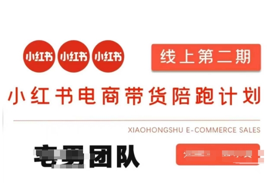 小红书电商带货课2期，月利润20个的小红书电商的有货源，无货源，虚拟产品，付费投流等整套玩法-小白网创