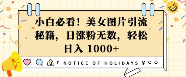 小白必看，美女图片引流秘籍，日涨粉无数，轻松日入几张【揭秘】-小白网创
