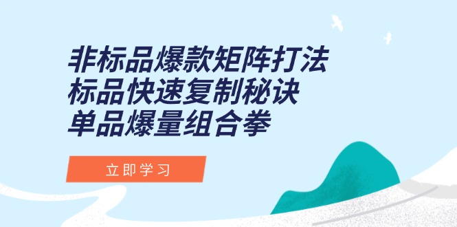 （15068期）非标品爆款矩阵打法，标品快速复制秘诀，单品爆量组合拳-小白网创