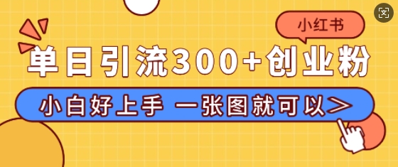 小红书单日引流300+创业粉，“简单粗暴”引流法，小白好上手，私信回不完-小白网创