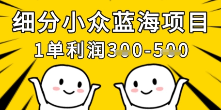 细分小众蓝海项目，一单利润3张，每月收入稳定过1w+-小白网创