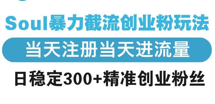 （13935期）Soul暴力截流创业粉玩法，当天注册当天进流量，日稳定300+精准创业粉丝-小白网创