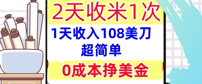 0成本挣美金，超简单，1天收入108刀，2天收米一次，实战教程，首次公开-小白网创