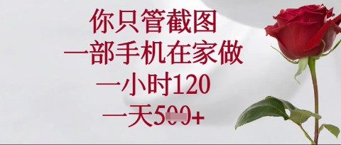 你只管截图，一部手机在家操作，一小时120.一天5张【揭秘】-小白网创