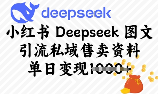 小红书Deepseek 图文引流私域售卖资料，单日变现多张-小白网创