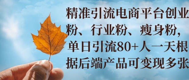 小投资撬动大收益，精准引流创业粉、行业粉，单日引流80+，一天可变现多张-小白网创