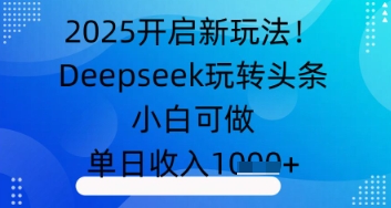 2025开启新玩法！Deepseek玩转头条，小白可做，单日收入几张-小白网创